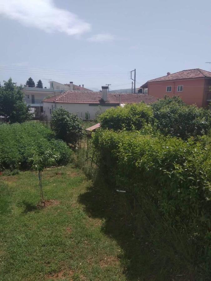 Dream House Ioannina Leilighet Eksteriør bilde